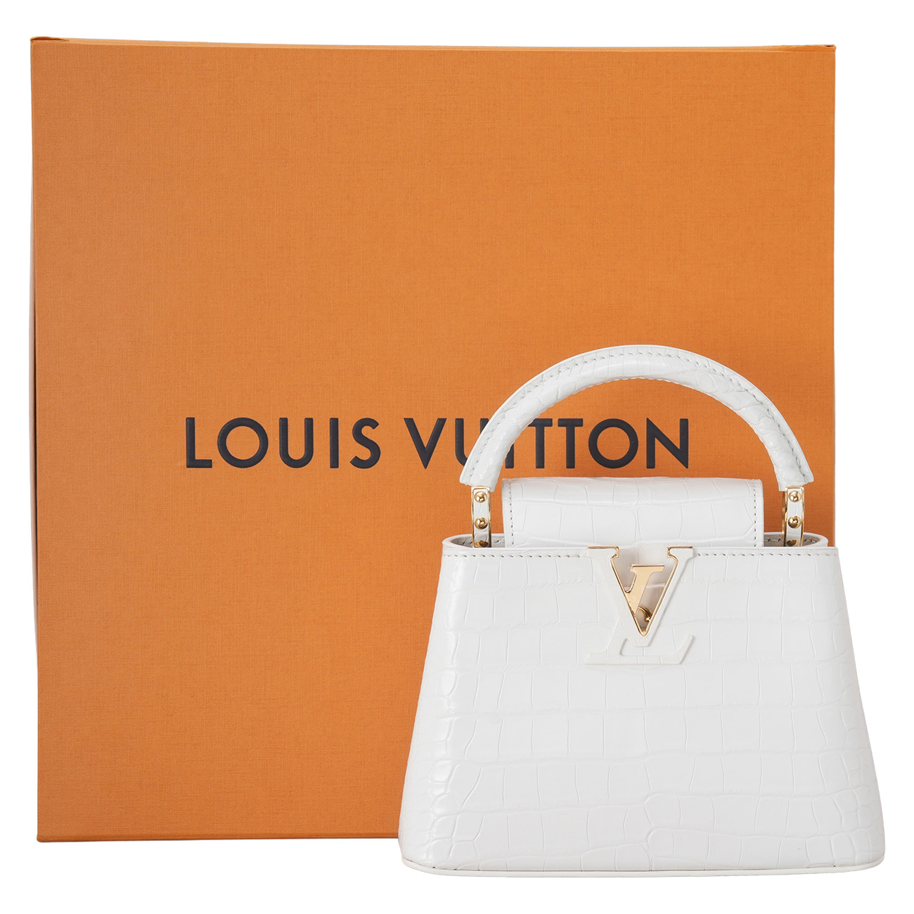 LOUIS VUITTON(USED)루이비통 이그조틱 와니 카퓌신 미니